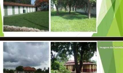 Fazenda à venda, AREA RURAL SAO FELIX DO ARAGUAIA - MT - São Félix do Araguaia/MT