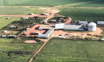 Fazenda à venda, AREA RURAL DE BRIANORTE-MT - Nova Maringá/MT