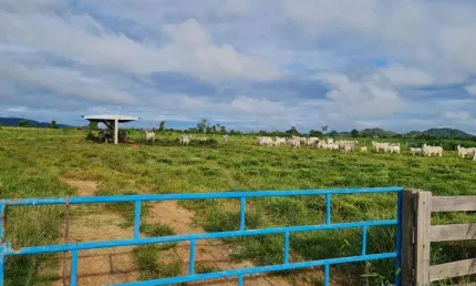 Fazenda à venda, área rural de vila rica - mt - vila rica/mt