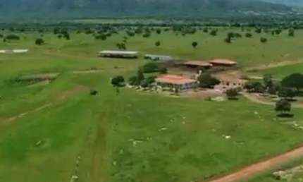 Fazenda à venda, AREA RURAL DE ALVORADA DO NORTE - GO - Alvorada do Norte/GO