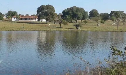 Fazenda à venda, Area rural de santa vitória - SANTA VITORIA/MG