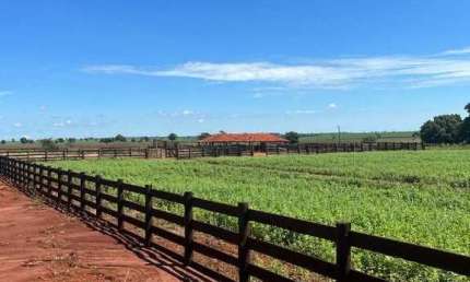 Fazenda à venda, AREA RURAL DE GOUVELANDIA-GO - Gouvelândia/GO