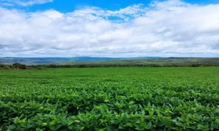 Fazenda à venda, area rural de doverlandia - go - doverlândia/go