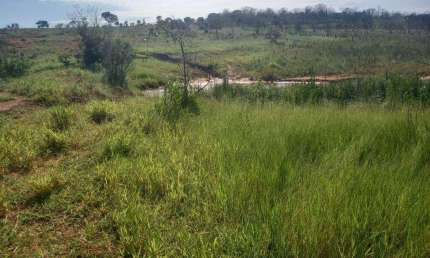 Fazenda à venda, Área Rural de Mineiros - MINEIROS/GO