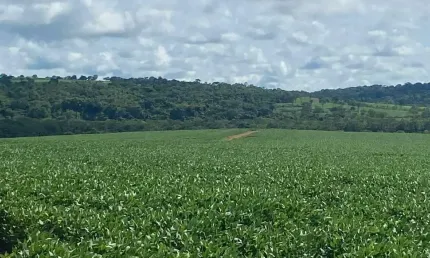 Fazenda à venda, Área Rural de Mineiros - MINEIROS/GO