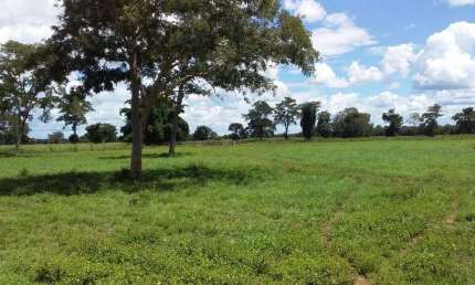 Explore o Paraíso Rural: Fazenda Excepcional à Venda em Cocalinho - MT