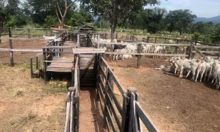 Fazenda à venda, 6 quartos, 3 suítes, ÁREA RURAL DE UBERLÂNDIA - Uberlândia/MG