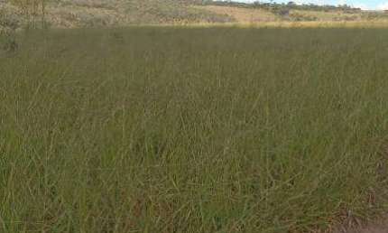 Fazenda à venda, Área Rural de Niquelândia - Niquelândia/GO
