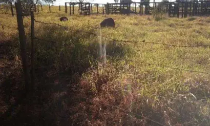 Fazenda à venda, Área Rural de Campo Alegre de Goiás - CAMPO ALEGRE DE GOIAS/GO
