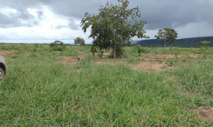 Fazenda à venda, Área Rural de Barra do Garças - BARRA DO GARCAS/MT
