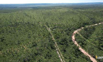 Fazenda à venda, AREA RURA DE PALMAS TO - PALMAS/TO