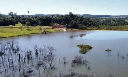Fazenda à venda, área rural de uberlândia - uberlândia/mg