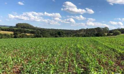 Fazenda à venda, AREA RURAL PATROCINIO PAULISTA - SAO PAULO/SP