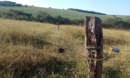 Fazenda à venda, AREA RURAL CAMPO FLORIDO MG - Campo Florido/MG