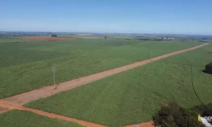Fazenda à venda, AREA RURAL DE PERDIZES - MG - Perdizes/MG