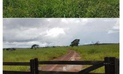 Fazenda à venda, Área Rural de Paranatinga - Paranatinga/MT