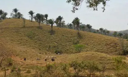 Fazenda à venda, area rural de lagamar-mg - lagamar/mg