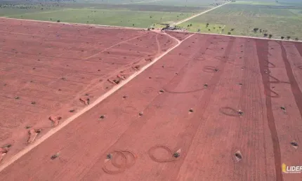 Fazenda à venda, area rural de jaborandi - ba - jaborandi/ba