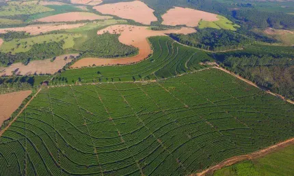 Fazenda à venda, AREA RURAL DE PATROCINIO - MG - PATROCINIO/MG