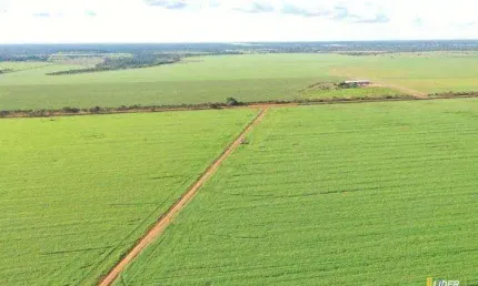 Fazenda à venda, AREA RURAL DE SAO FELIX DO ARAGUAIA - MT - São Félix do Araguaia/MT