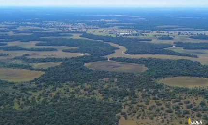 Fazenda à venda, AREA RURAL DA AQUIDAUANA-MS - Aquidauana/MS