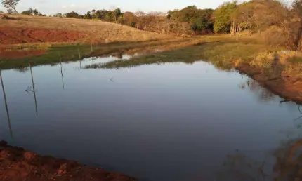 Fazenda à venda, AREA RURAL DE CAMPINA VERDE - MG - CAMPINA VERDE/MG