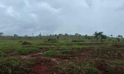Fazenda à venda, área rural de uberlândia - uberlândia/mg