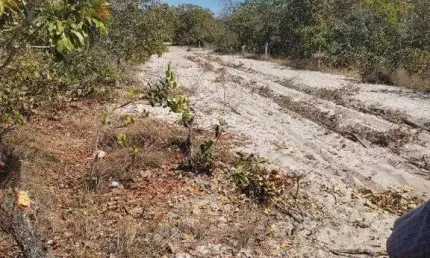 Fazenda à venda, AREA RURAL DE BONITO DE MINAS - MG - Bonito de Minas/MG
