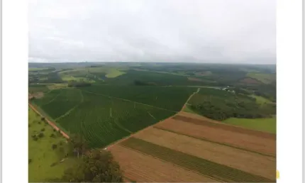 Fazenda à venda, AREA RURAL DE SERRA DO SALITRE - MG - Serra do Salitre/MG