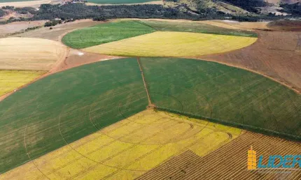 Fazenda à venda, Area rural de cristalina - CRISTALINA/GO