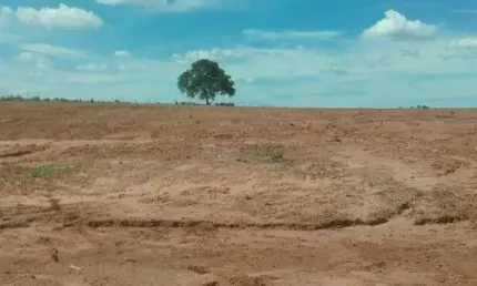 Chácara / sítio à venda na Zona Rural, Zona Rural, Prata