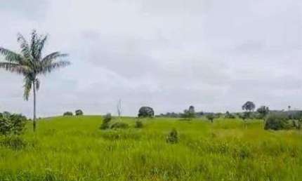 Fazenda à venda, AREA RURAL DE MARABA - PA - Marabá/PA