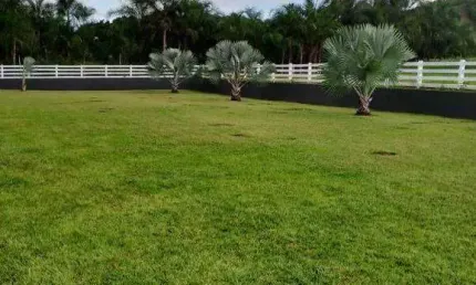 Fazenda à venda, Area rural de Morrinhos - MORRINHOS/GO