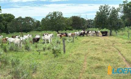 Fazenda à venda, AREA RURAL DE PARANA-TO - Paranã/TO