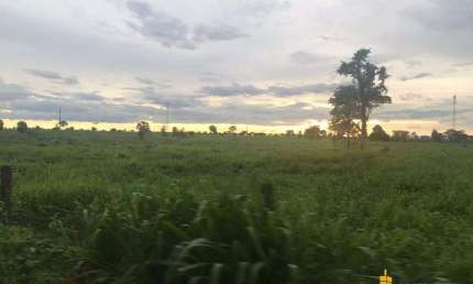 Fazenda à venda, AREA RURAL DE FLORES DE GOIAS - GO - Flores de Goiás/GO