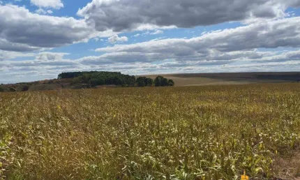 Fazenda à venda, Área Rural de Água Fria - Água Fria de Goiás/GO