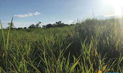Fazenda à venda, AREA RURAL DE MINAÇU - GO - Minaçu/GO