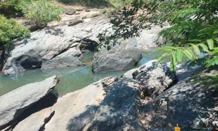 Fazenda à venda, AREA RURAL DE ARAGUARI - Araguari/MG