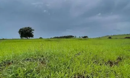 Fazenda à venda, área rural de uberlândia - uberlândia/mg