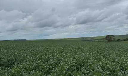 Fazenda à venda, AREA RURAL DE LUZIANI-GO - Luziânia/GO