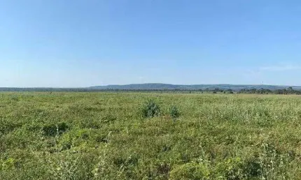 Fazenda à venda, AREA RURAL DE RIACHINHO - MG - Riachinho/MG