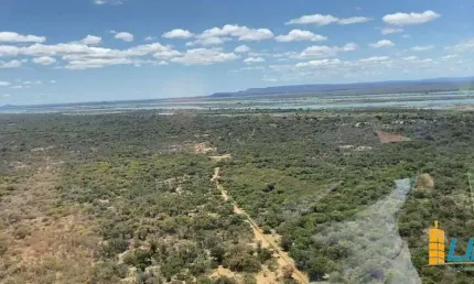 Fazenda à venda, AREA RURAL DE PILÃO ARCADO - BA - Pilão Arcado/BA