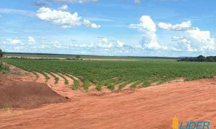 Fazenda à venda, Área Rural de Rio Verde - RIO VERDE/GO