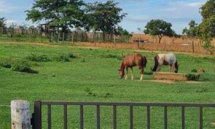 Fazenda à venda, AREA RURAL DE BONFINOPOLIS - MG - Bonfinópolis de Minas/MG