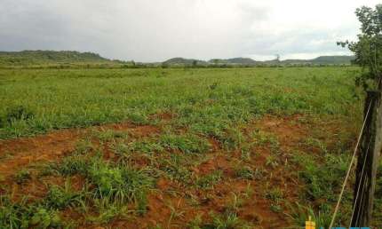Fazenda à venda, AREA RURAL DE PEIXOTO DE AZEVEDO - MT - Peixoto de Azevedo/MT