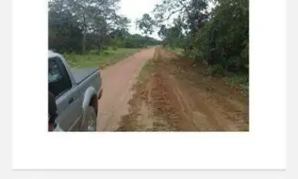 Fazenda à venda, Área rural de Riacho Frio - PI - Riacho Frio/PI