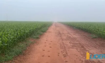 Fazenda à venda, ÁREA RURAL DE UBERLÂNDIA - Uberlândia/MG