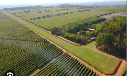 Fazenda à venda, AREA RURAL DE SÃO GOTARDO - MG - SAO GOTARDO/MG