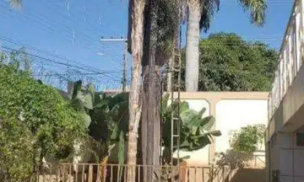 Casa com 4 quartos para alugar na Rua dos Canarinhos, Cidade Jardim, Uberlândia