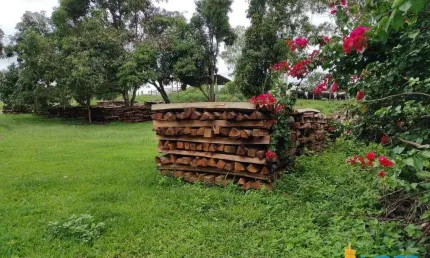 Fazenda à venda, AREA RURAL DE PERDIZES - MG - Perdizes/MG